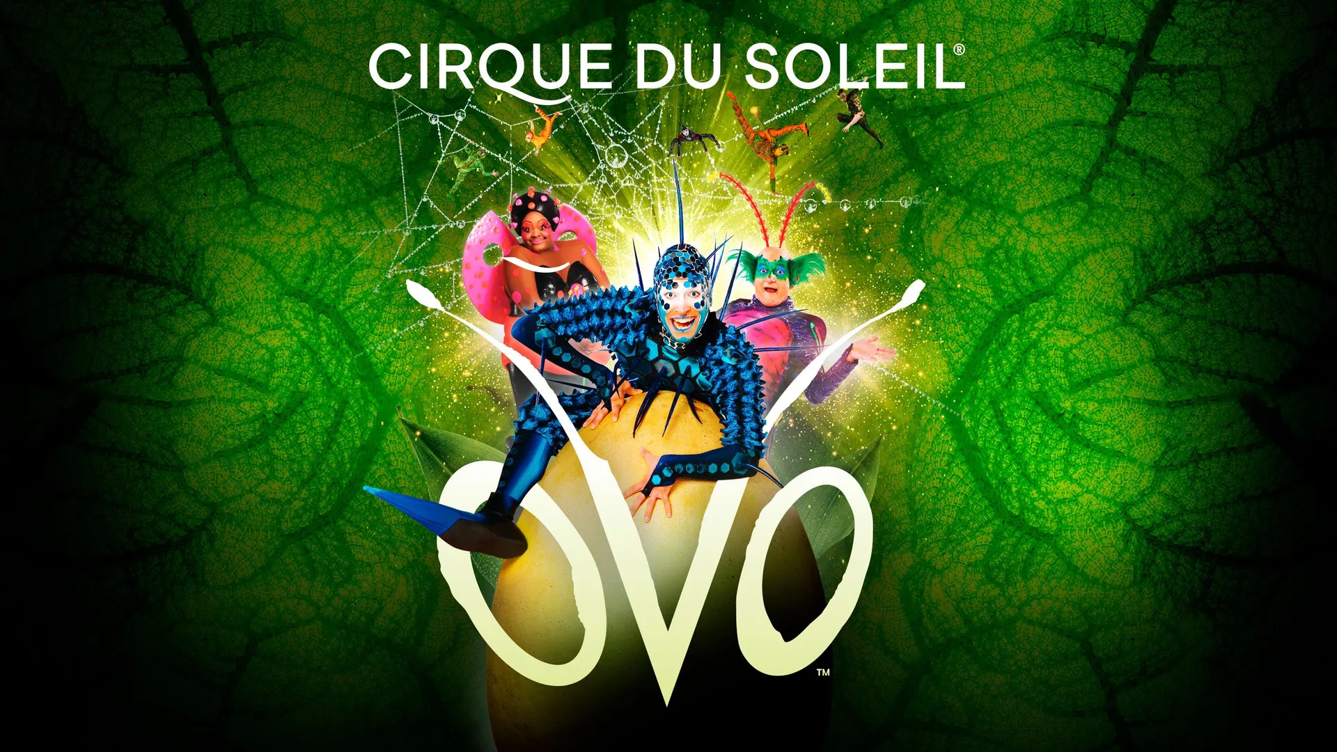 Cirque du Soleil