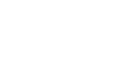 project logo The Butterfly