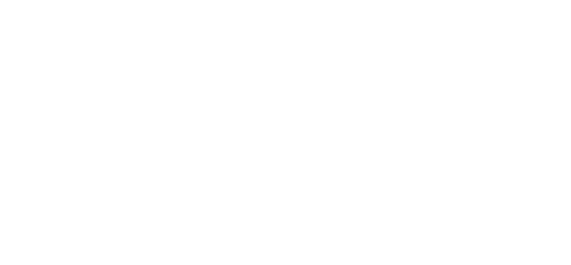 project logo The Butterfly
