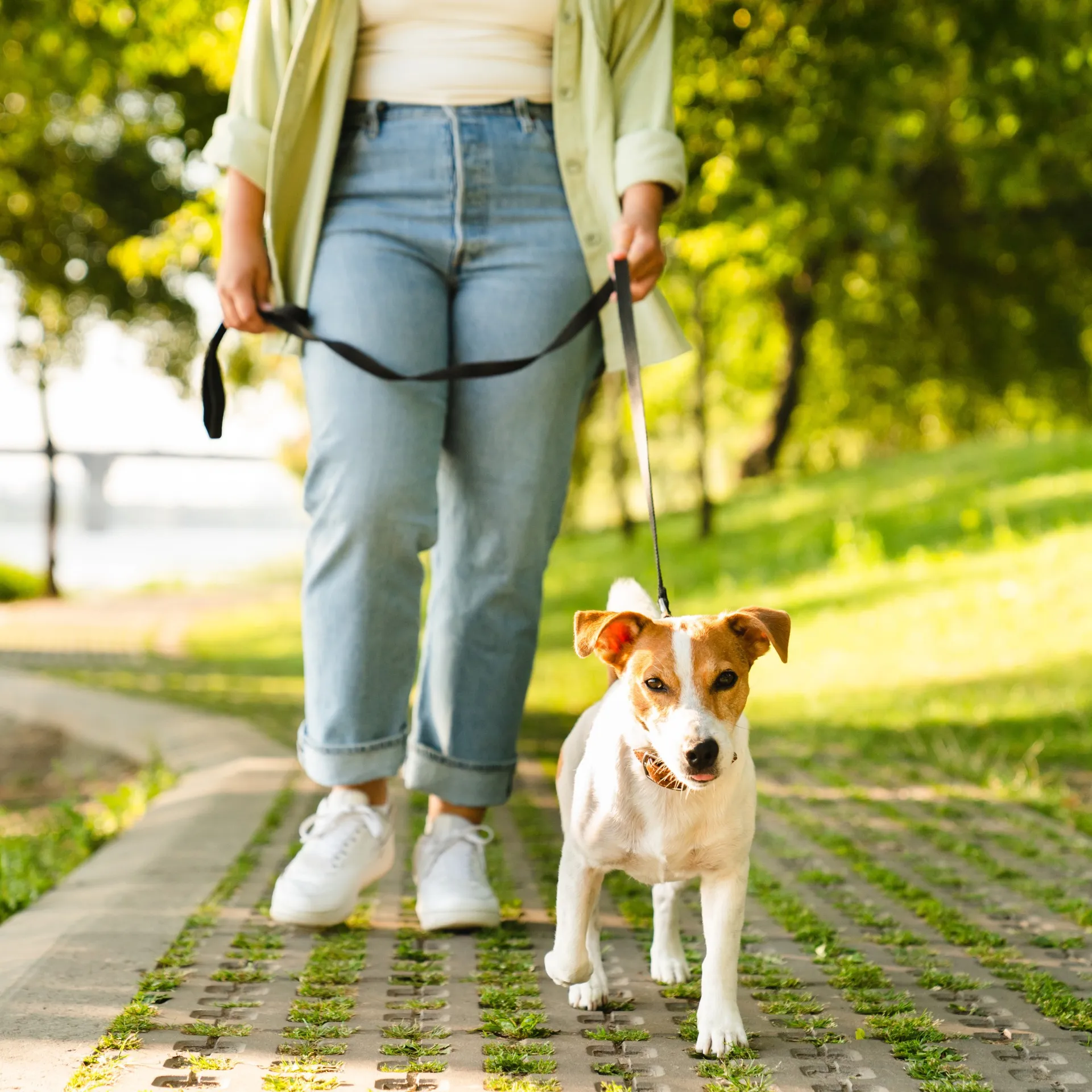 Ideal Walking & Running Paths Ideal Walking & Running Paths