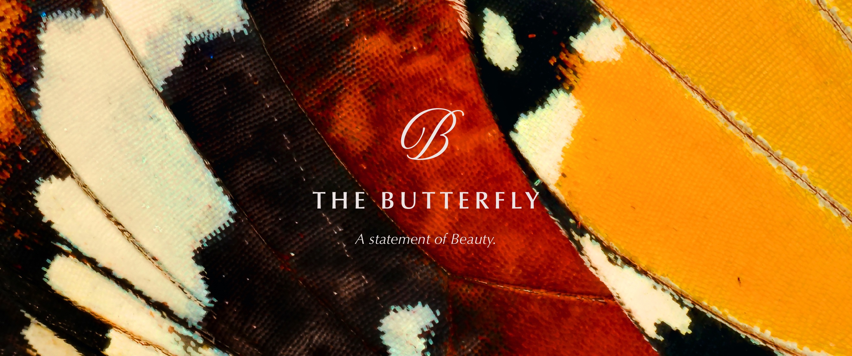 project image The Butterfly