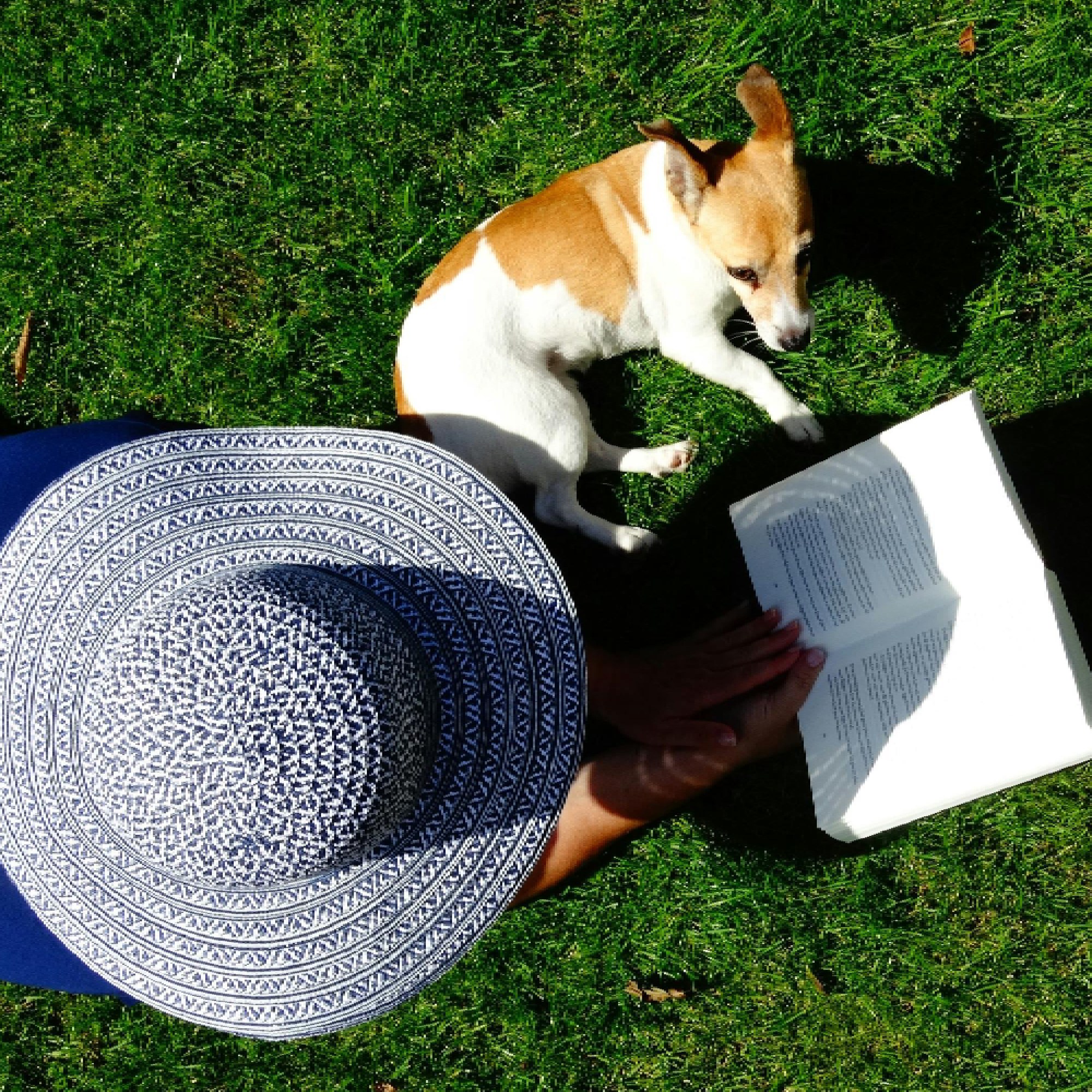 مجتمع نابض بالحياة مجتمع نابض بالحياة