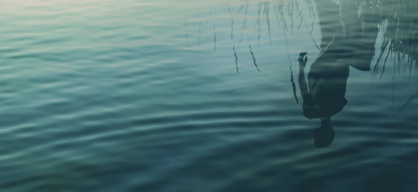 banner img