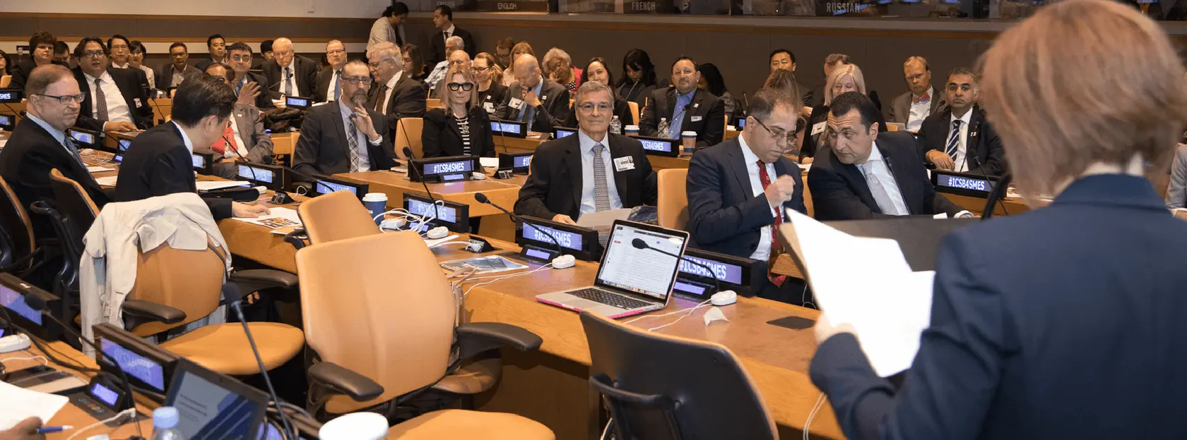 Celebrating the UN latest resolution designating – banner image