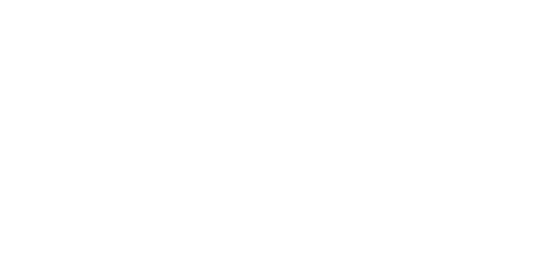 Salt Shore – logo